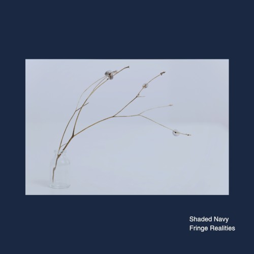 Fringe Realities