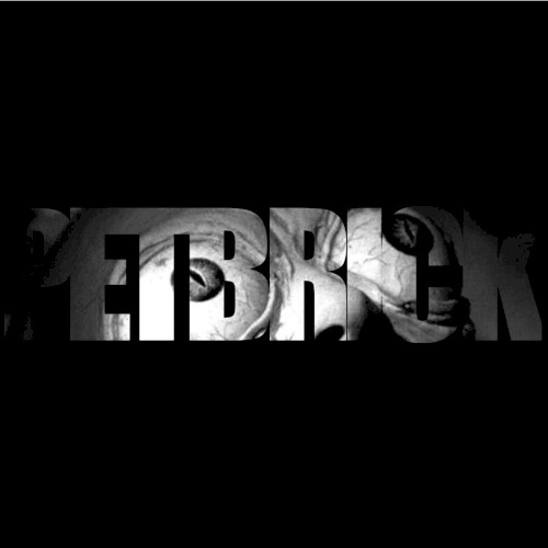Petbrick