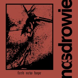 Feed New Hope