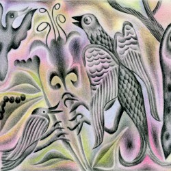 Synthetic Bird Music