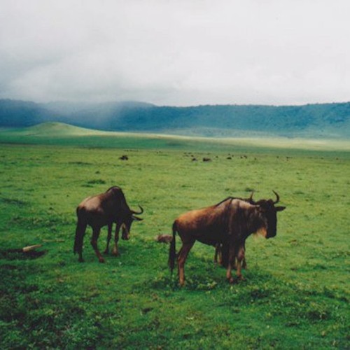 Episode I