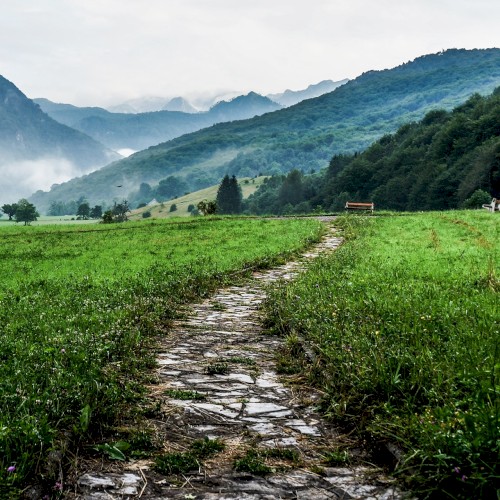 Pave til' Paradise