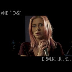 drivers license