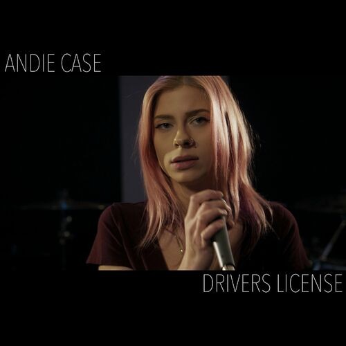 drivers license