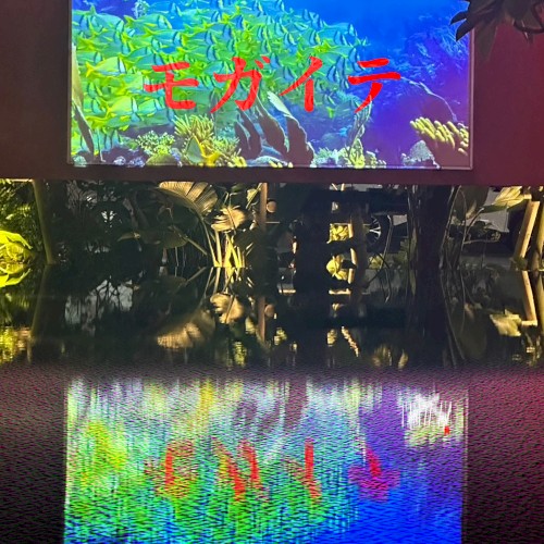 モガイテ