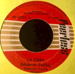 La ceiba / Suena la timba