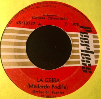 La ceiba / Suena la timba