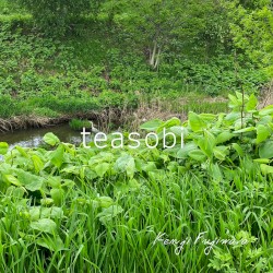 teasobi
