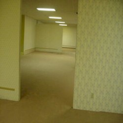 Level 0