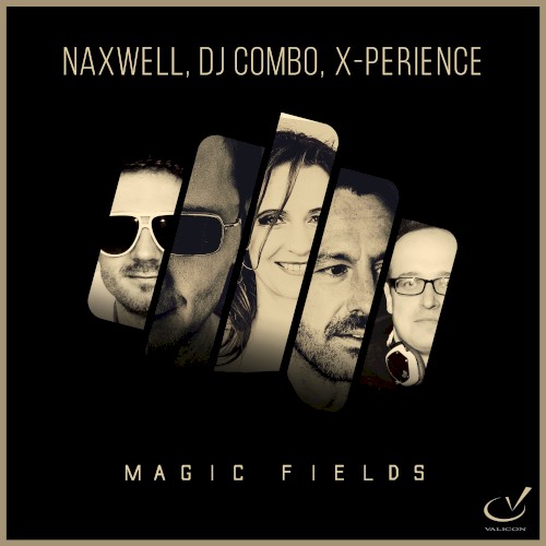 Magic Fields