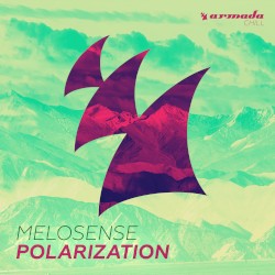 Polarization