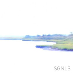 SGNLS