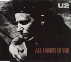 All I Want Is You