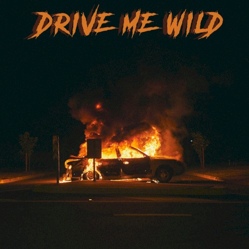 Drive Me Wild