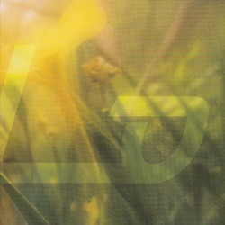 Vinilo