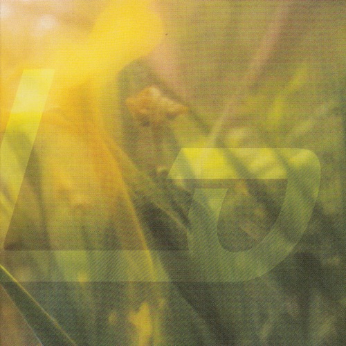Vinilo