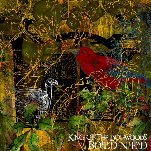 King of the Dogwoods