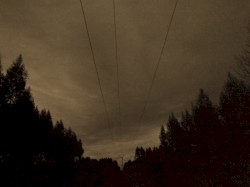 Decrepitude II
