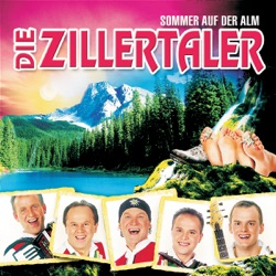 Sommer auf der Alm