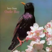 Love From Ostle Bay