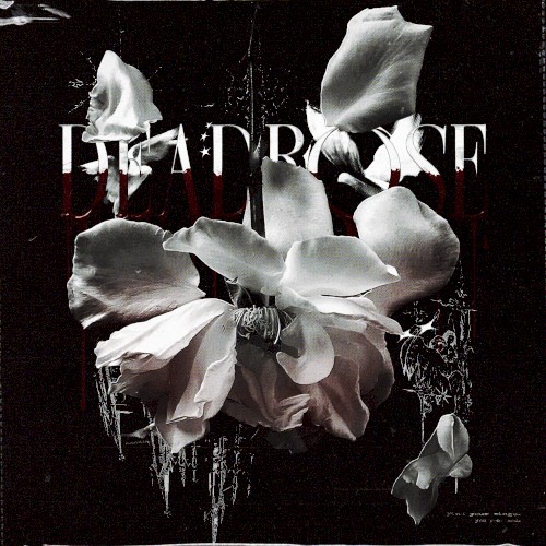 deadrose