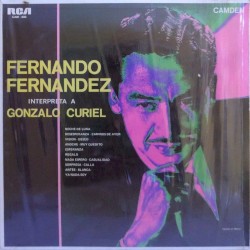 Fernando Fernández interpreta Gonzalo Curiel