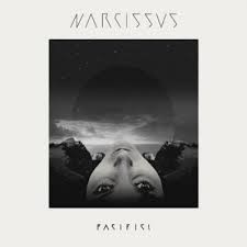 Narcissus