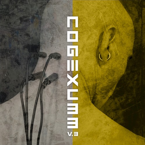 C33 V.3