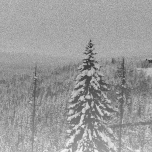 Isete skoger frostskymring...