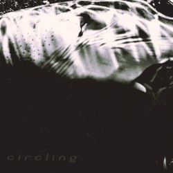 Circling