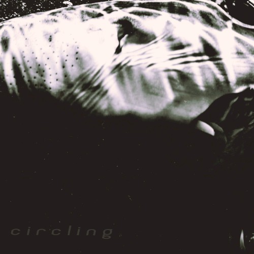 Circling
