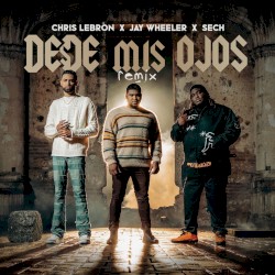 Desde mis ojos (remix)