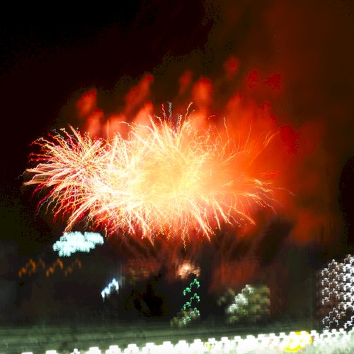 Fire Flower: 花火