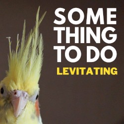 Levitating