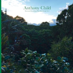 Electronic Recordings From Maui Jungle, Volume 1