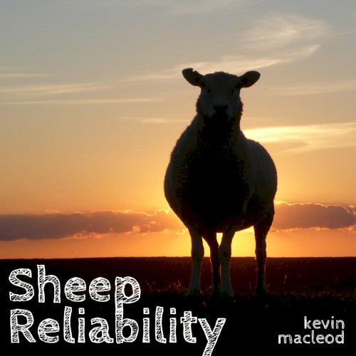 Sheep Reliability