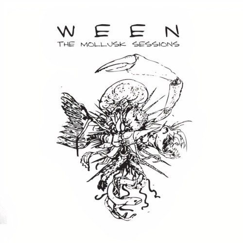 The Mollusk Sessions