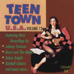Teen Town USA, Volume 12