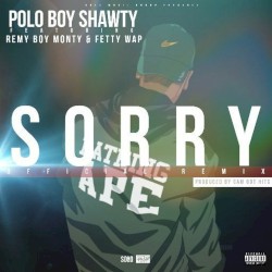 Sorry (remix)