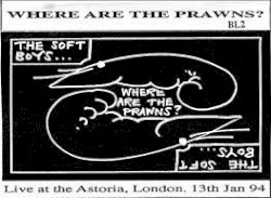 Where Are the Prawns?
