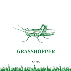 Grasshopper