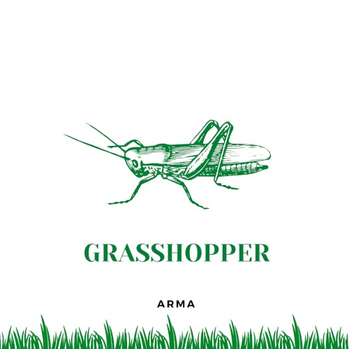 Grasshopper
