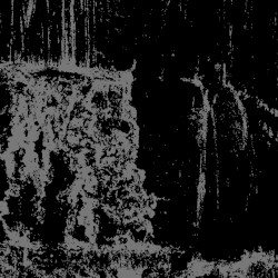 MMXVII