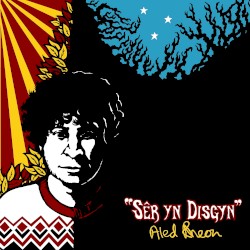 Ser Yn Disgyn