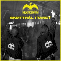 Skotthål i taket