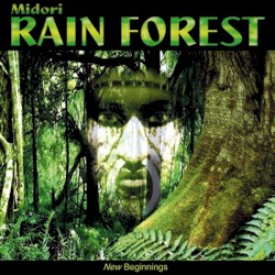 Rain Forest