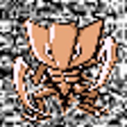 #141 ~ Kabutops