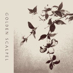 Golden Scalpel