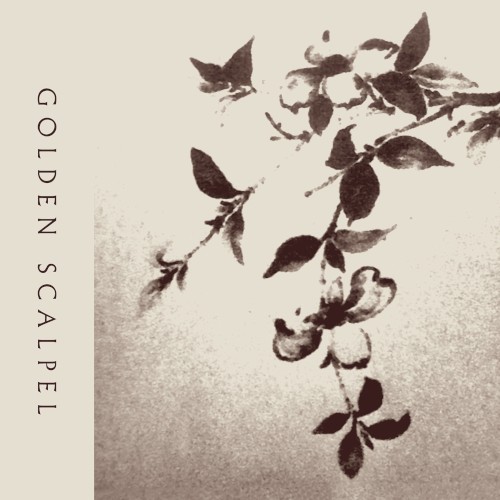Golden Scalpel