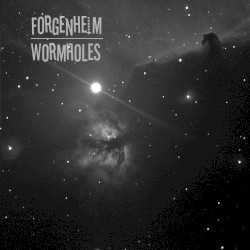 Wormholes